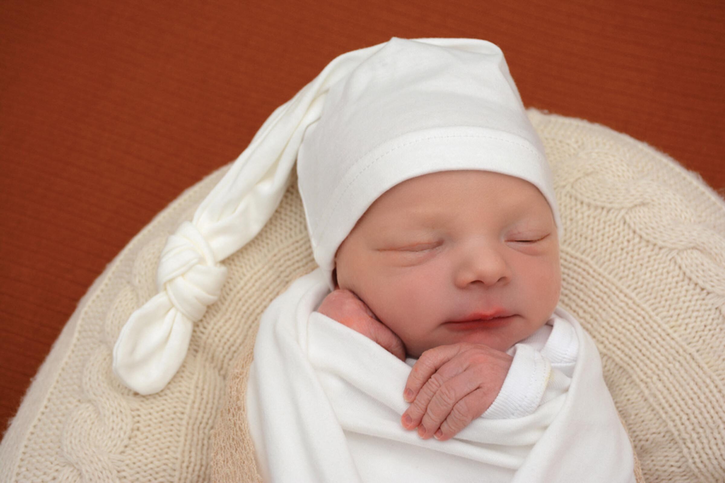 Zillertaler-Nachwuchs