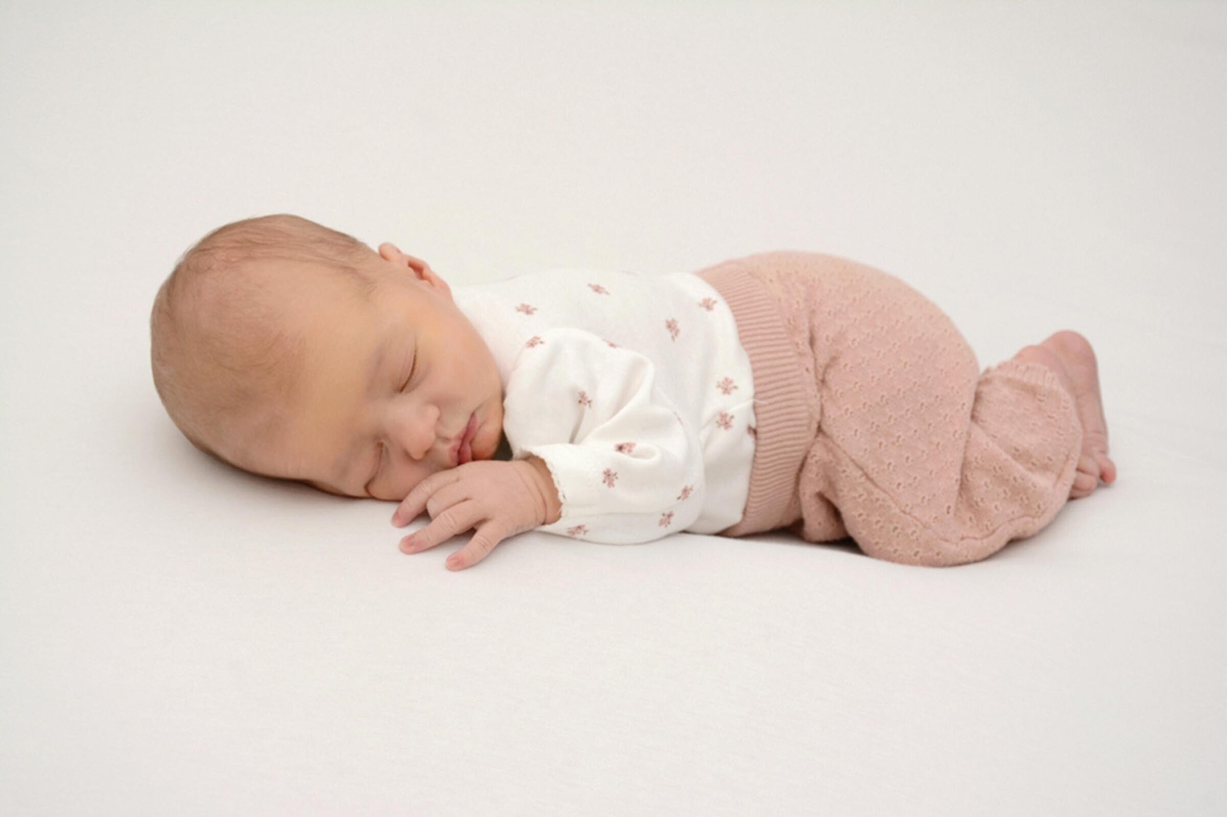 Zillertaler-Nachwuchs