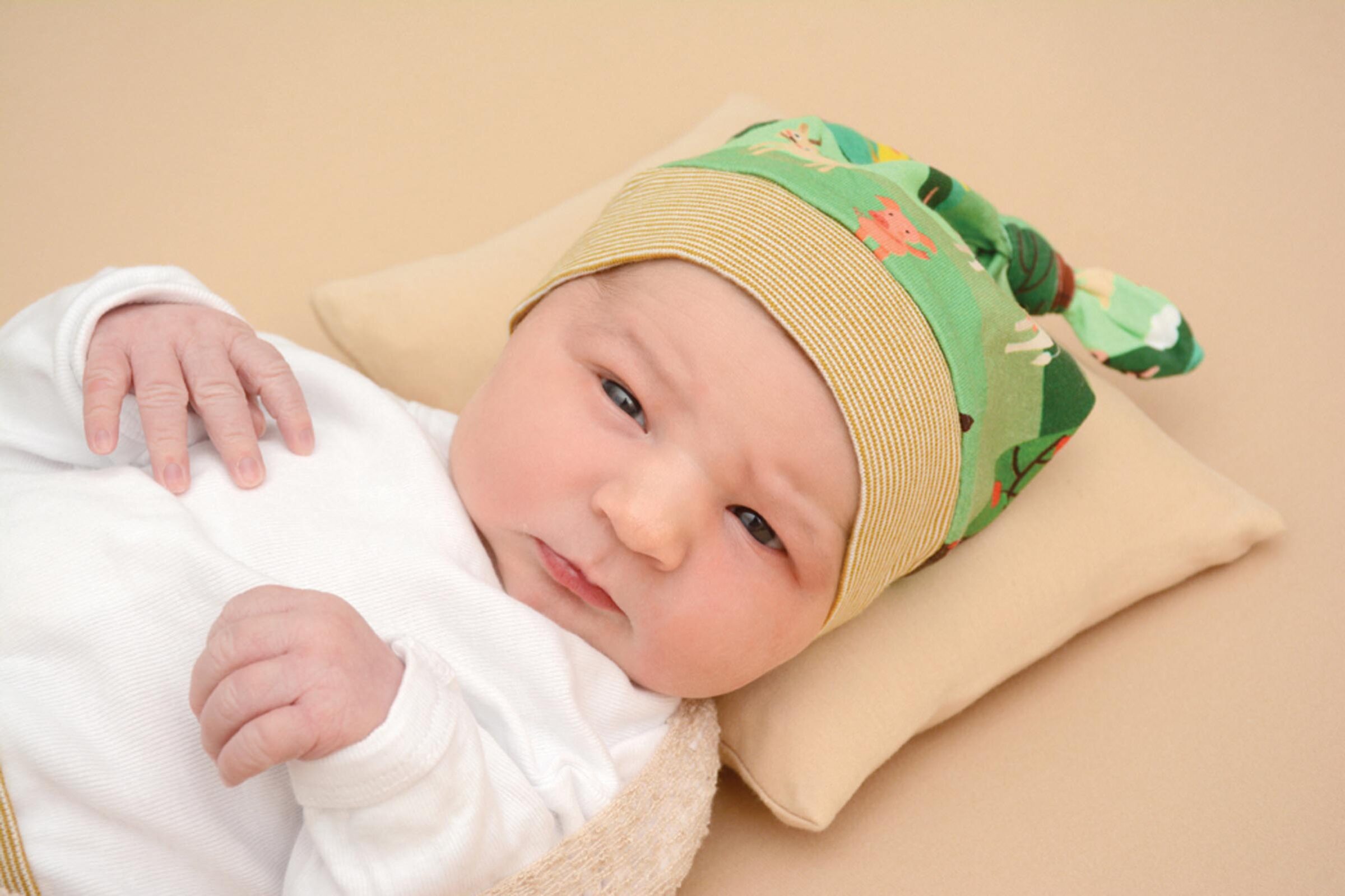 Zillertaler-Nachwuchs